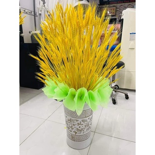 Bông Lúa Mạch Trang Trí (Bó 100 Bông)