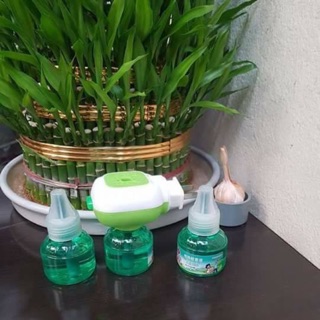 Đèn đuổi muỗi tinh dầu