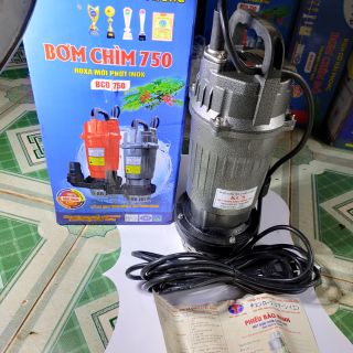 Bơm chìm 750W Điện cơ.