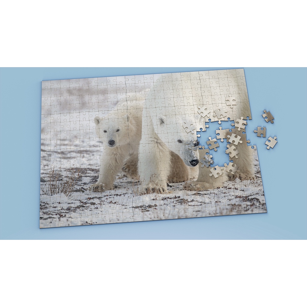 Tranh ghép hình Animal - Tranh ghép hình POLAR BEAR - Mẫu 5 - Nhận in hình tranh ghép theo yêu cầu