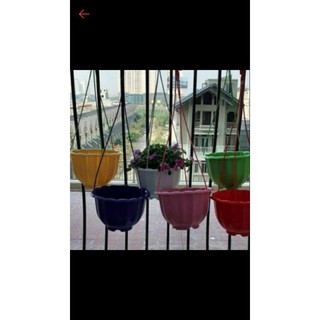 50 cái chậu treo bí giá sỉ rộng 22cm x15cm