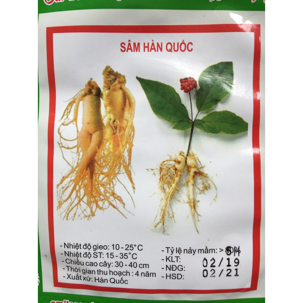 sale off Hạt giống sâm Hàn Quốc 5 hạt/gói hàng chuẩn cty.