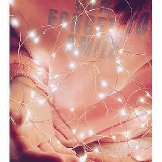 Đèn đom đóm fairy light loại 2m usb