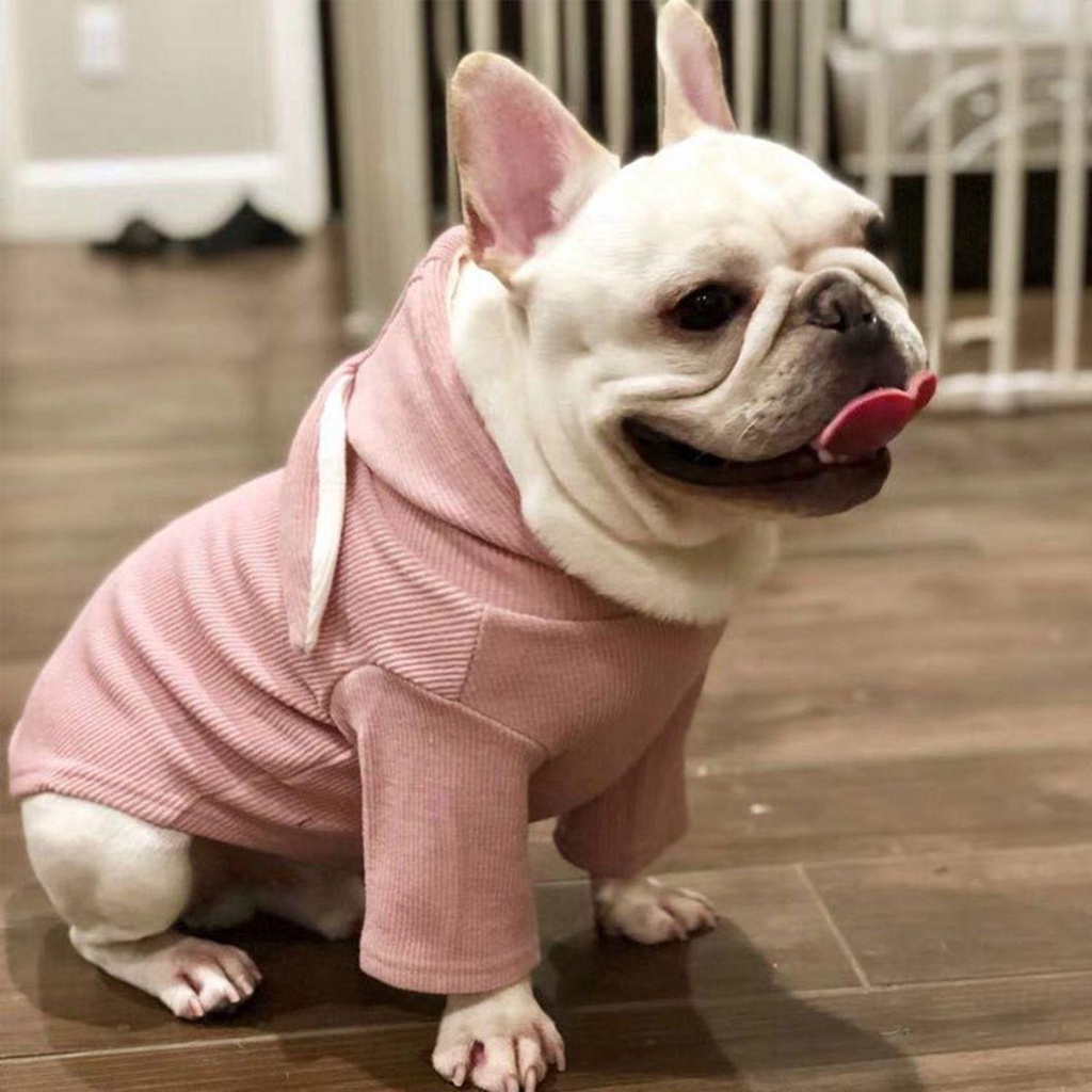 Áo Hoodie Tai Thỏ MềM MạI Cho Thú Cưng