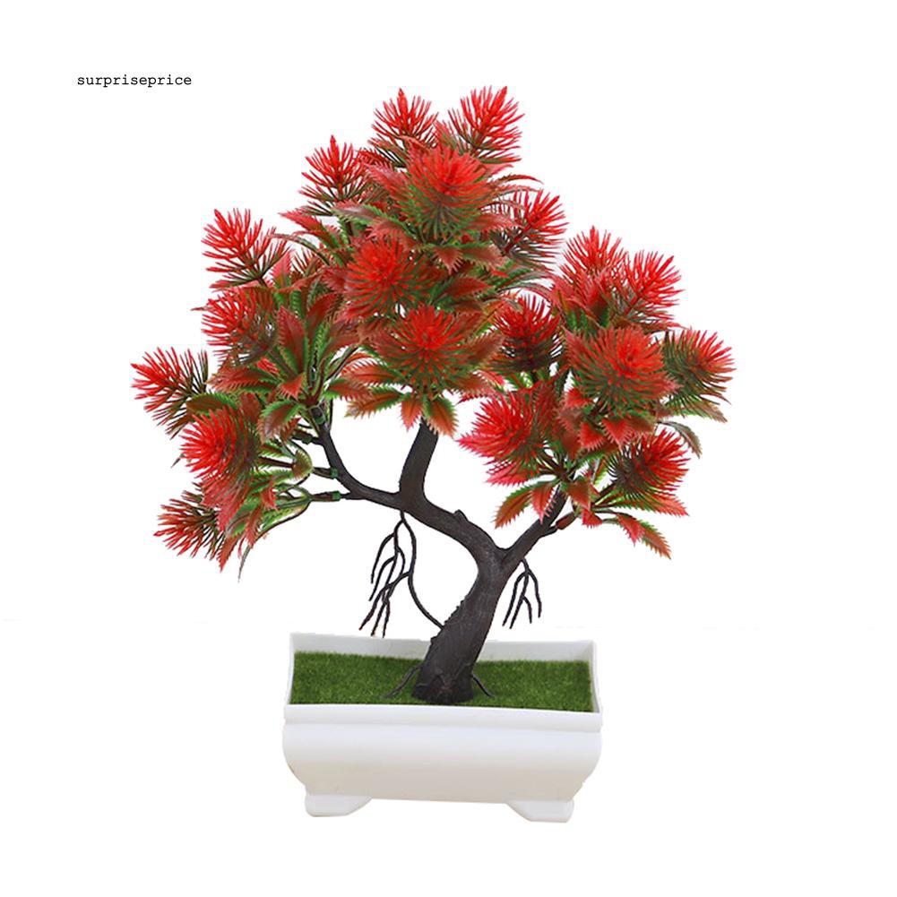 Chậu cây cảnh giả nhiều màu tùy chọn dùng trang trí tiểu cảnh đẹp mắt