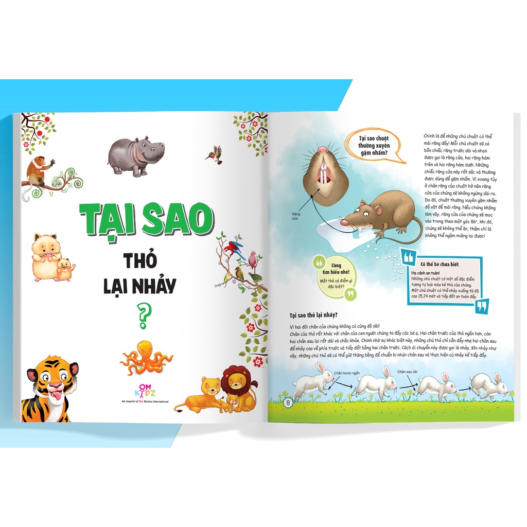 Sách - What Why When How 10 vạn câu hỏi cho siêu nhí - Why Tại sao MEGAMN9552