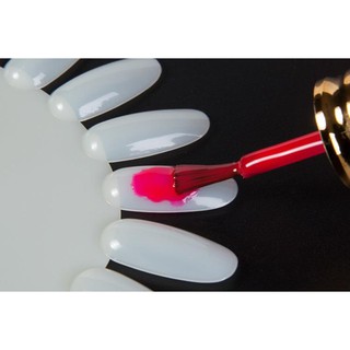 Móng giả tập sơn nail- 20 móng