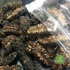 Quả Nhàu Khô Túi 1Kg Thơm Nức Hàng Mới
