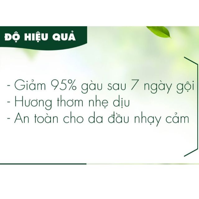 Bộ Đôi Gội - Xả Fresh Organic Tea Tree Oil Giảm Và Trị Gàu Sau 7 Ngày Sử dụng (Dầu Gội 500gr + Dầu Xả 180gr)