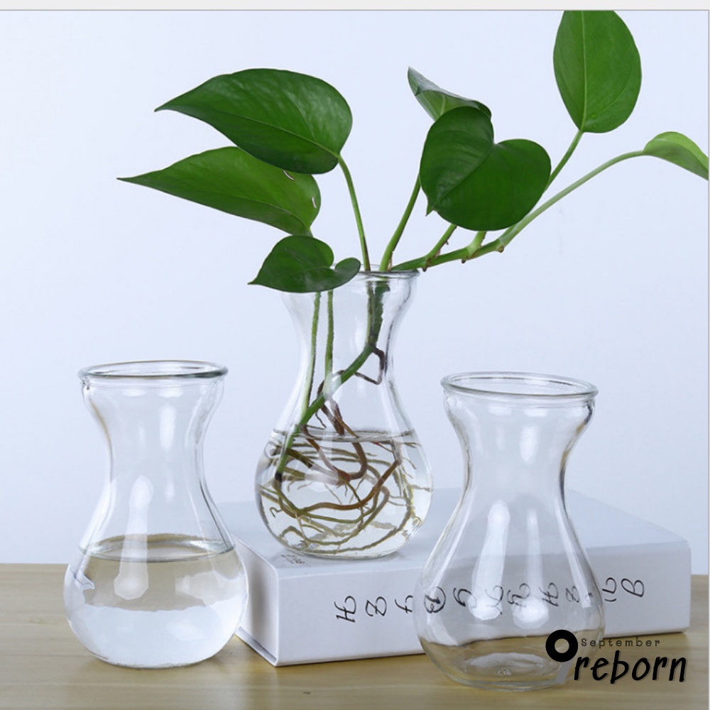 Lọ hoa decor thiết kế sáng tạo, bình hoa thủy tinh trồng cây thủy sinh 9Reborn