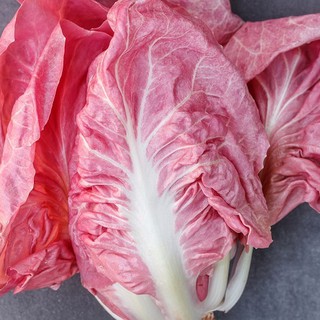 Hạt giống xà lách Diếp Hồng VTP60 | Vạn Tín Store