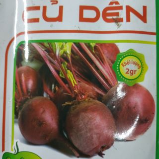 Hạt giống củ Dền - Rau củ quả trồng tại vườn, sân thượng, nông trang, ban công