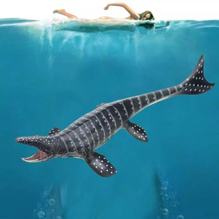 Mô Phỏng Thú Vị Đồ Chơi Khủng Long Mosasaurus Giáo Dục Sớm Cho Trẻ Em Chơi Đồ Chơi Trang Trí_123Lifevn