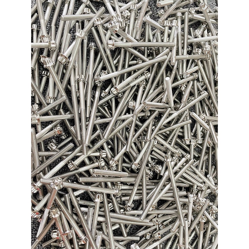 Bộ Ốc Lốc Máy Salaya Inox 304 Dành Cho Nhiều Dòng Xe Máy