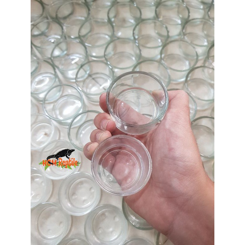 Chén thủy tinh nhỏ