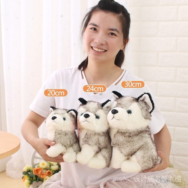 Gối Ôm Hình Chú Chó Husky Bằng Nhung Dễ Thương Xinh Xắn