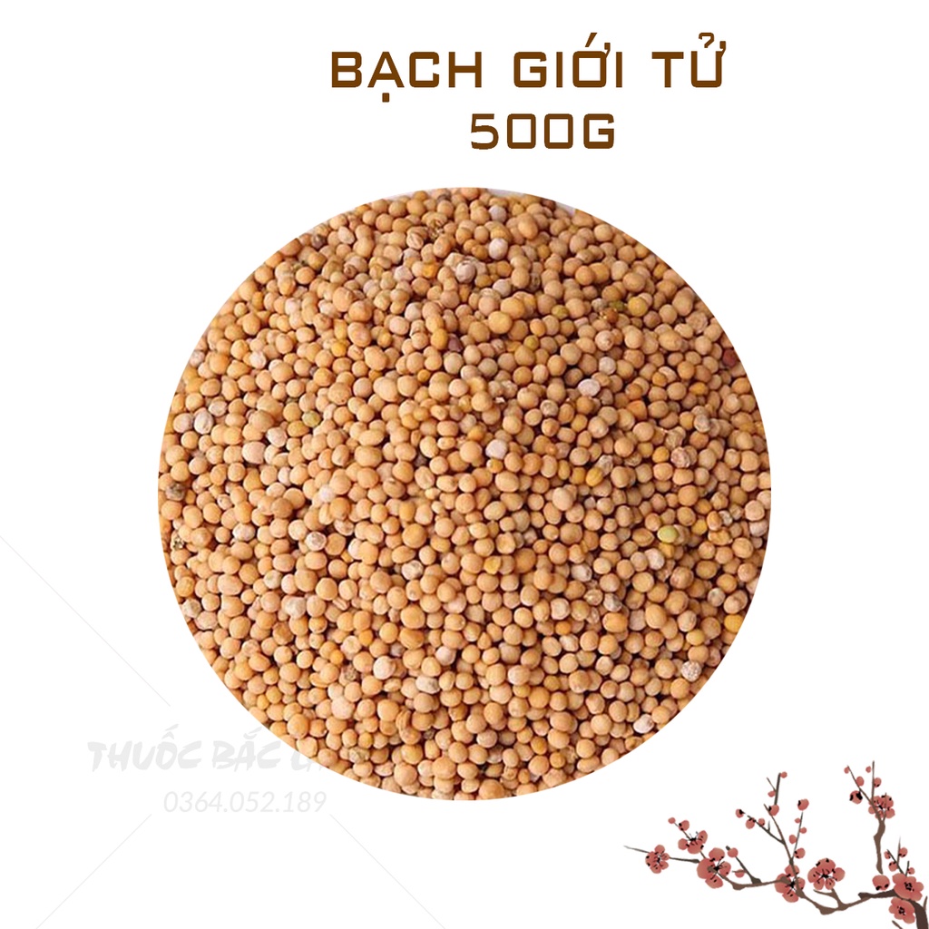 Bạch giới tử 500g (Hạt cải trắng, bổ phế, long đờm)