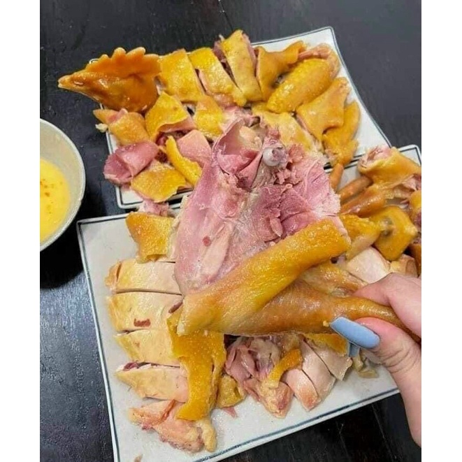 GÀ RI Ủ MUỐI NGUYÊN CON