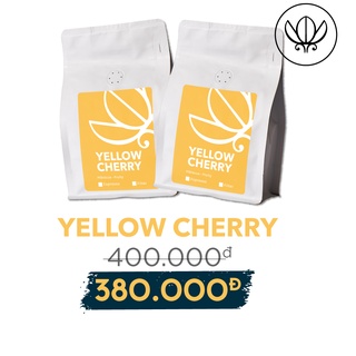 Cà phê đặc sản Arabica 100% Yellow Cherry The Married Beans Pour over