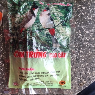 Cám trứng cao cấp chào mào VVA