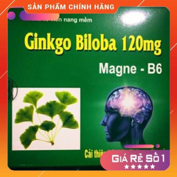 Viên uống bổ não Ginkgo Biloba 120mg Magne-b6