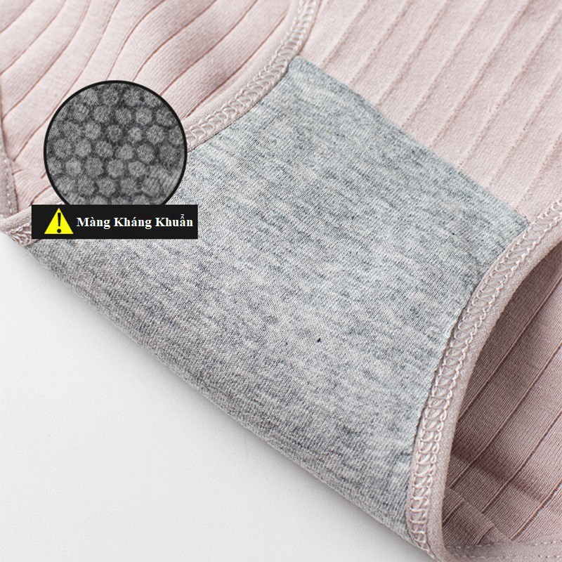 Quần Lót Cotton Bông Gân Nơ Xuất Nhật QL66