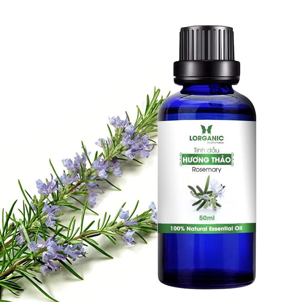 Tinh dầu hương thảo nguyên chất Lorganic Rosemary 100% Natural Essential Oil 10ml, 50ml