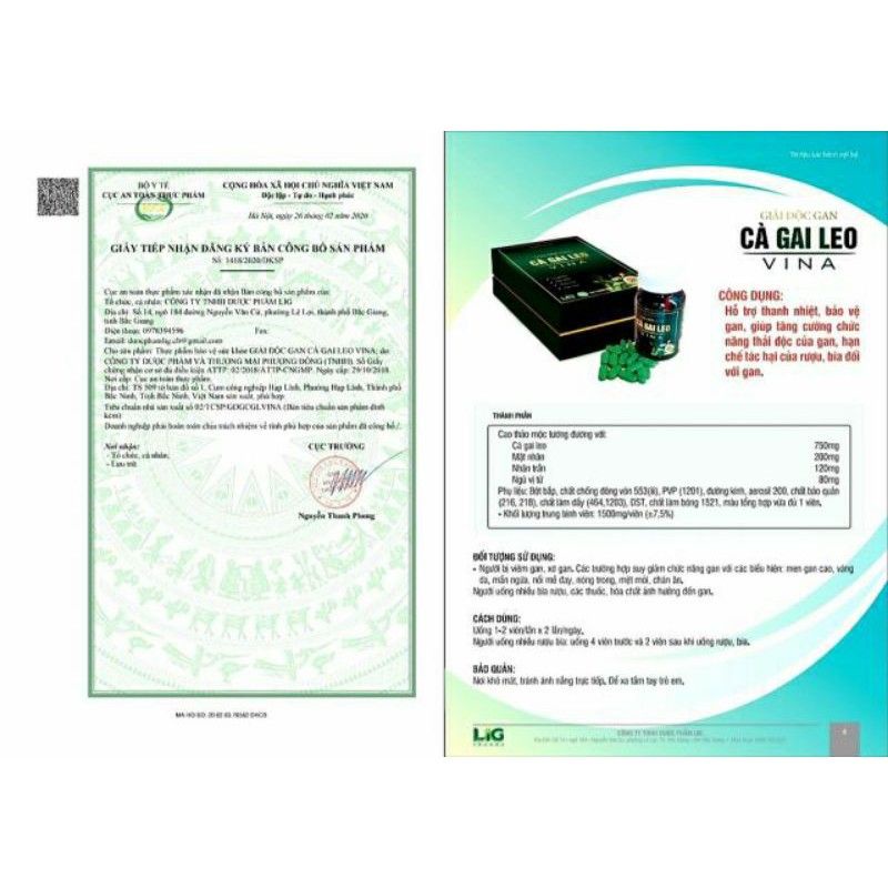 Giải độc gan CÀ GAI LEO - VINA hộp 60 viên