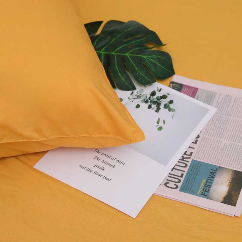 Bộ drap cotton lụa trơn 1 màu