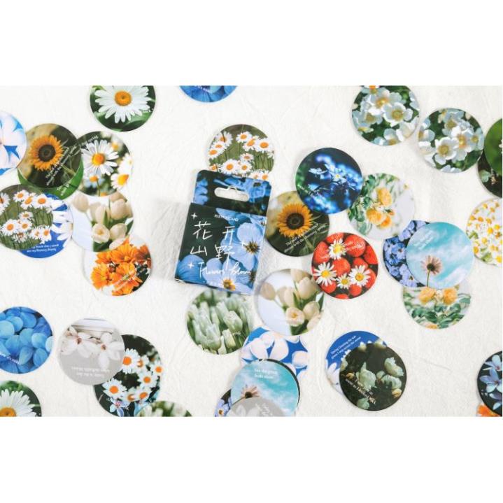 Bộ 45 Sticker Hàn Quốc Các Loài Hoa dán trang trí E93