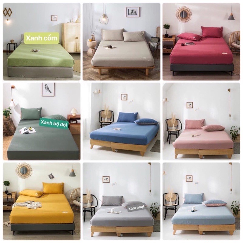 Chăn ga gối cotton tici , Luis Bedding chăn ga hàn quốc (miễn phí bo chun theo kích thước)