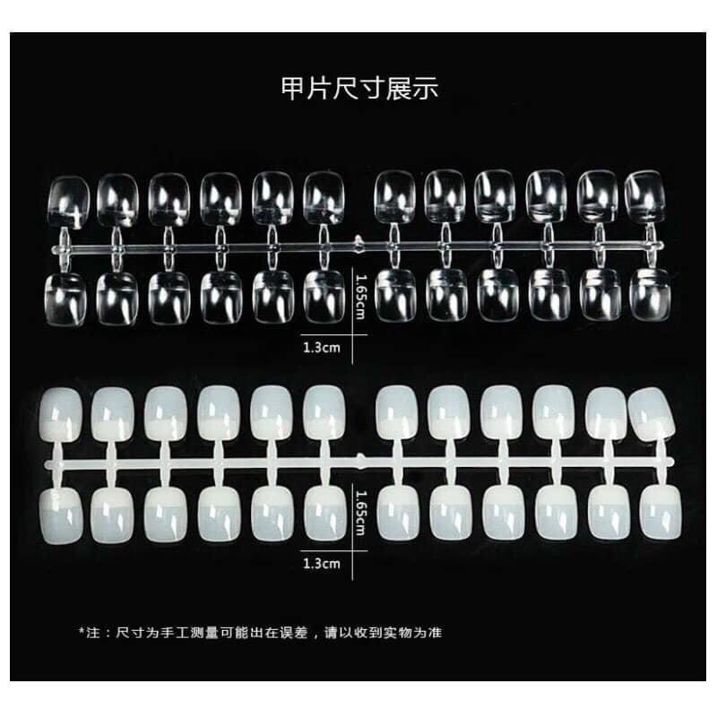 Móng Vuông, móng Tròn học vẽ nail