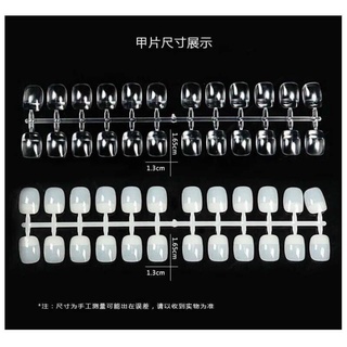 Móng Vuông, móng Tròn học vẽ nail  [Pk Nail mi Hanna]