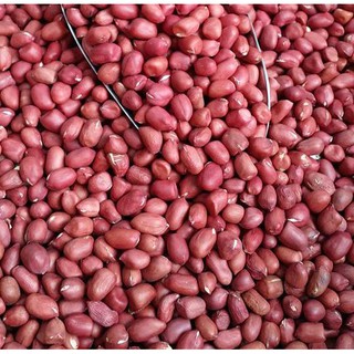 Lạc đậu phộng đỏ giống cũ