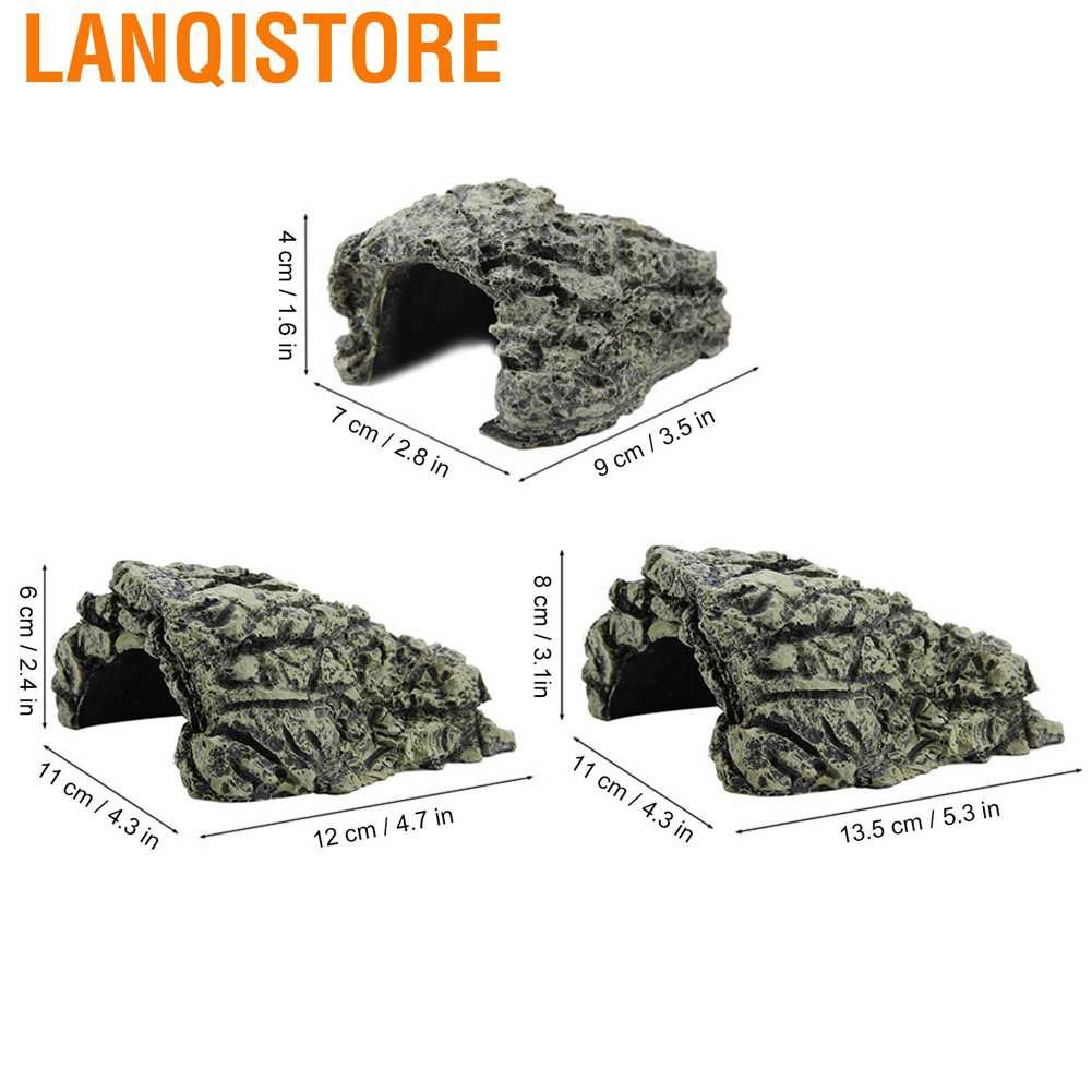 Hang Nuôi Rùa / Động Vật Bò Sát Trang Trí Bể Cá