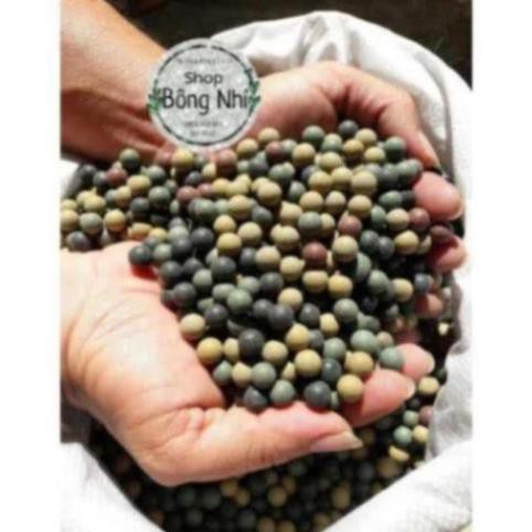 Bi Đất Nung 8mm (1Kg) | Gói bi nén trang trí sân vườn (kích thước 8mm) ..