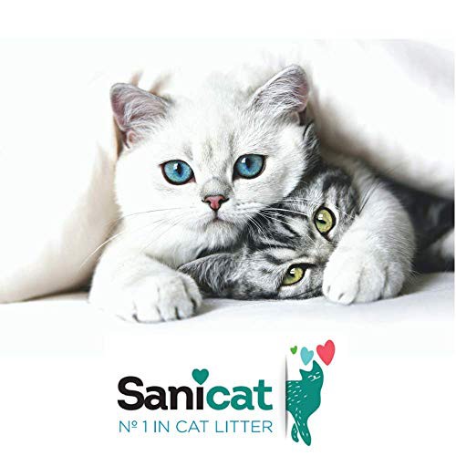 Cát vệ sinh Sanicat hương hoa hồng 5L siêu khử mùi