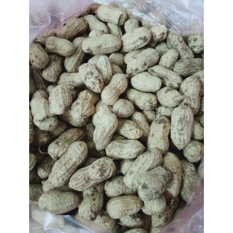 lạc tươi nhà trồng(1kg)
