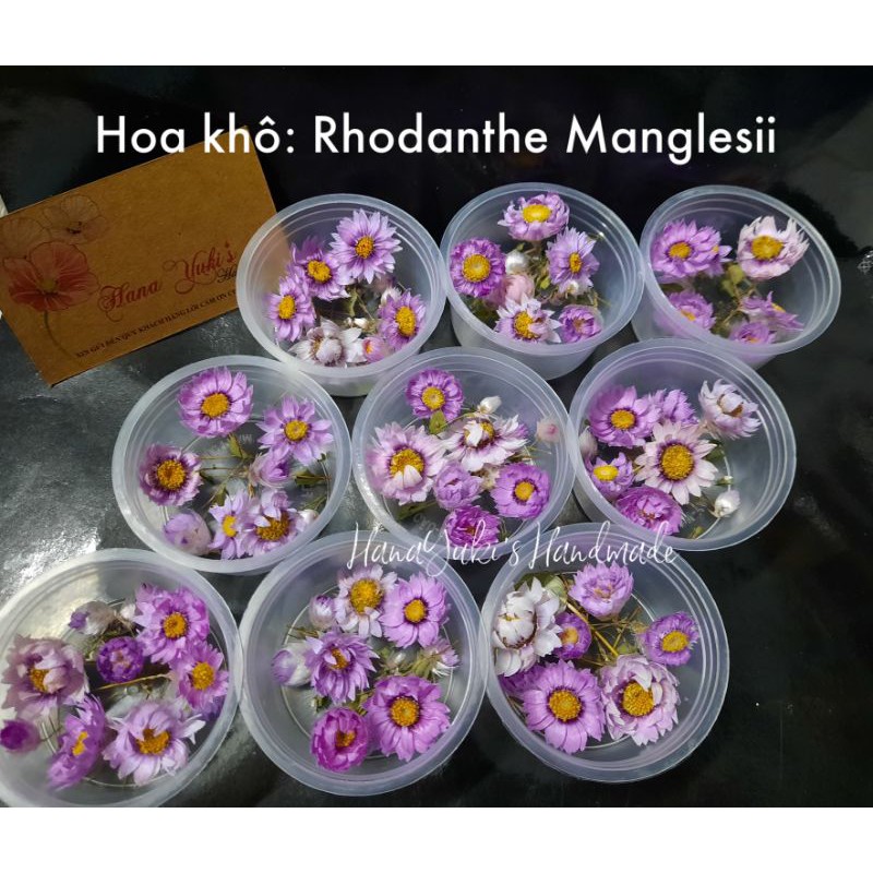 Hoa khô: Rhodanthe Manglesii sử dụng trong Handmade: Resin, nến, thiệp, tranh hoa khô....( Hoa khô mua nên đọc kỹ)