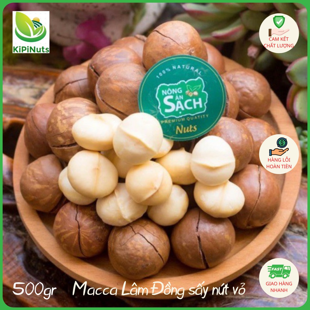 Hạt Macca nứt vỏ sạch hữu cơ Tây Nguyên - Mắc Ca sấy cao cấp hàng xuất khẩu (500g) - Size to (25 - 32mm)