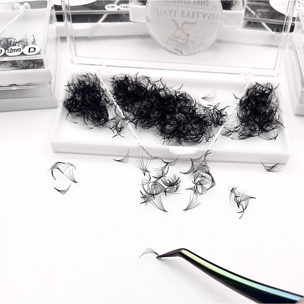 Mi Fans Sẵn 7D ROYAL EYELASH Lông Chồn Cao Cấp / 500- 1000 fans / C,CC,D, 0.07