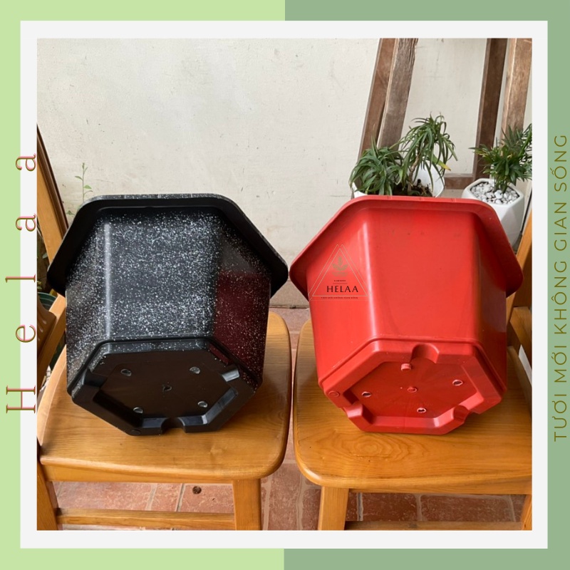 Chậu Nhựa Trồng Cây Lục Giác, Chậu Cây Cảnh To, Trồng Cây Hoa, Tiểu Cảnh, Bonsai Siêu Đẹp Nhiều Kích Cỡ