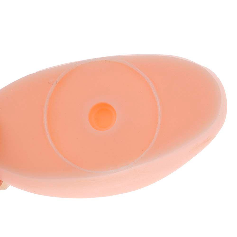 Đầu Ma Nơ Canh Da Xăm Lông Mày / Môi Mềm Mại 3D Dành Cho Người Mới Tập Trang Điểm