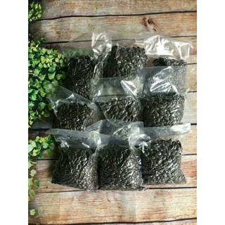 sỉ giá gốc hạt bí mèo đen ( chín) 500g - 1kg