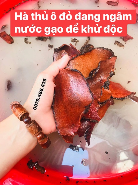 Viên hà thủ ô đỏ mật ong rừng