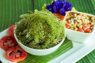 Rong nho biển tươi