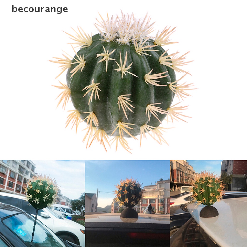 1 Ăng Ten Hình Cây Xương Rồng Trang Trí Xe Hơi