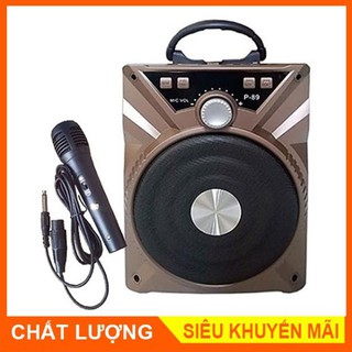 Loa Karaoke Bluetooth Mini P88/P89 Âm Thanh Lớn, Hát Hay, Giá Rẻ - Kèm Mic Có Dây