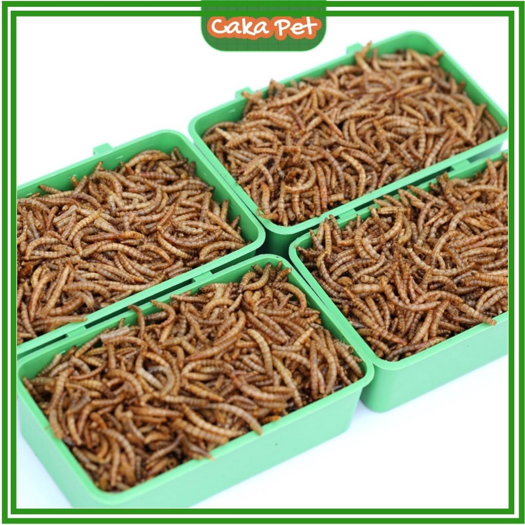 Sâu sấy khô cho hamster 40g  𝑮𝒊𝒖̛̃ 𝒏𝒈𝒖𝒚𝒆̂𝒏 𝒉𝒖̛𝒐̛𝒏𝒈 𝒗𝒊̣ 𝒕𝒖̛̣ 𝒏𝒉𝒊𝒆̂𝒏 Cực phẩm của chim, cá, rùa