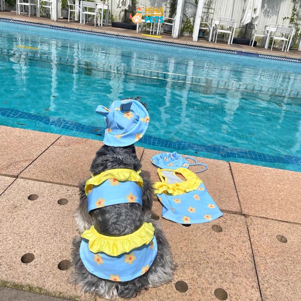 Áo Bơi Cho Chó Mèo Có Nón Quần Áo Bơi Cho Thú Cưng Hàn Quốc Thời Trang Cao Cấp Hiha Pets.